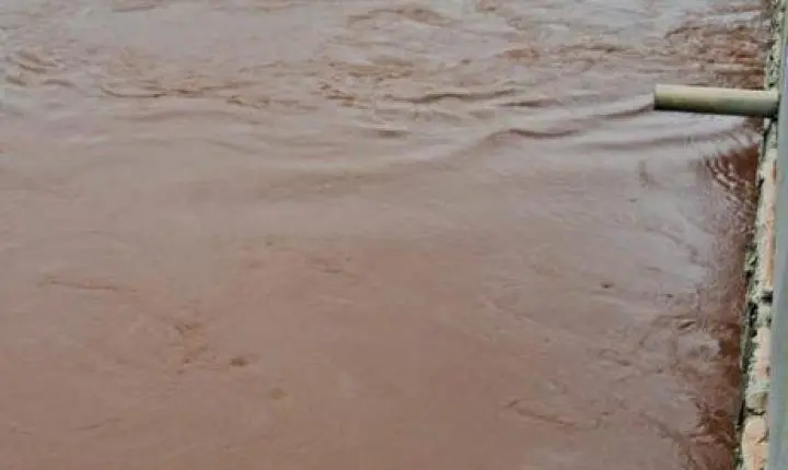 Chuvas elevam nível dos rios e colocam pontes em alerta no Oeste do Paraná
