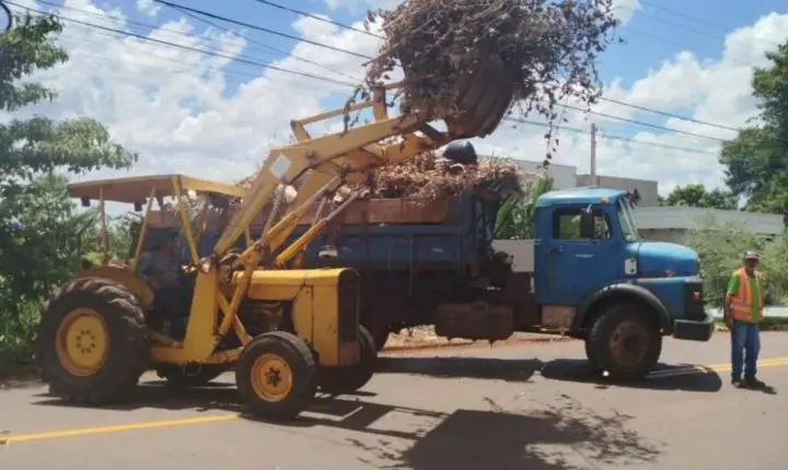 Coleta de galhos e móveis segue calendário em Palotina