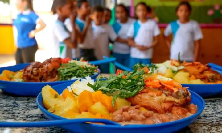 Conselho fortalece qualidade da merenda nas escolas de Palotina