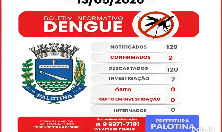 Dengue em alerta: Palotina confirma dois casos e reforça combate ao mosquito transmissor