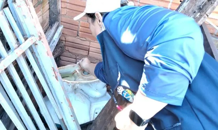 Dengue: infestação preocupa e coloca Palotina em alerta