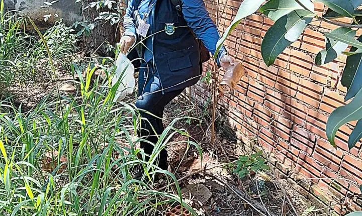 Dengue: infestação preocupa e coloca Palotina em alerta