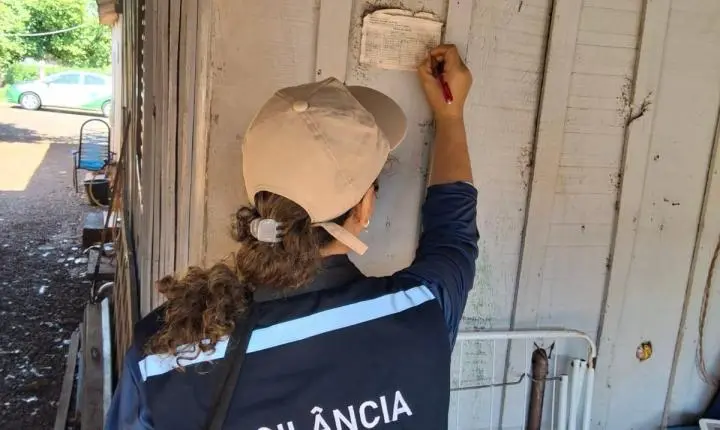Dengue: infestação preocupa e coloca Palotina em alerta