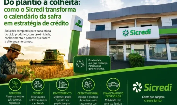 Do plantio à colheita: como o Sicredi transforma o calendário da safra em estratégia de crédito