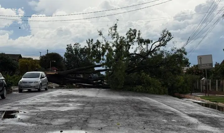 Forte vento provoca estragos em Maripá