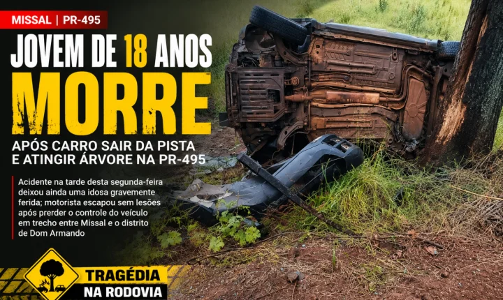 Jovem de 18 anos morre após carro sair da pista e atingir árvore na PR-495