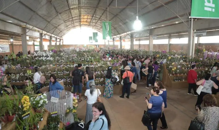 Maripá entra na contagem regressiva para a 26ª Festa das Orquídeas e do Peixe