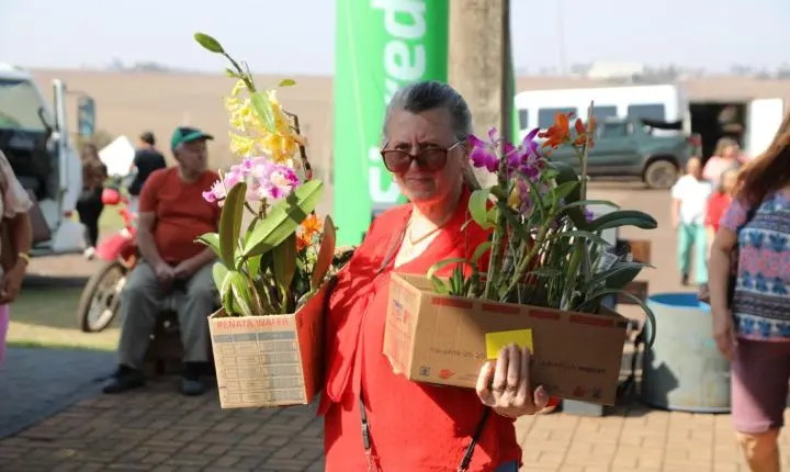 Maripá entra na contagem regressiva para a 26ª Festa das Orquídeas e do Peixe
