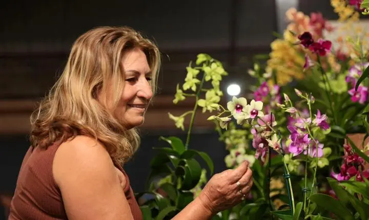 Maripá vive sábado de casa cheia e Festa das Orquídeas e do Peixe 