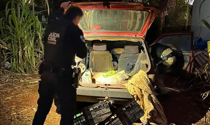 Operação Delivery prende seis e atinge o tráfico em Palotina