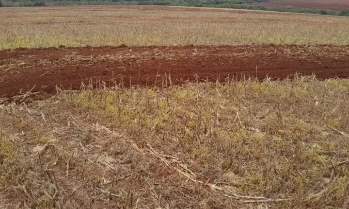 Palotina fortalece infraestrutura no campo e aposta na conservação do solo para impulsionar o agronegócio
