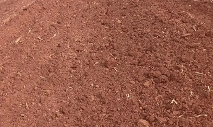 Palotina fortalece infraestrutura no campo e aposta na conservação do solo para impulsionar o agronegócio