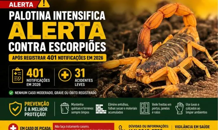 Palotina intensifica alerta contra escorpiões após registrar 401 notificações em 2026