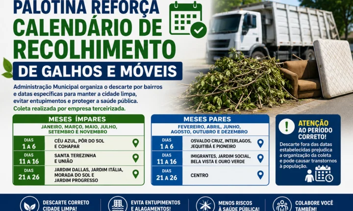 Palotina reforça calendário de recolhimento de galhos e móveis e pede atenção da população