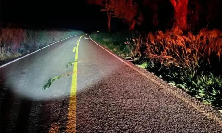 Pedestre morre atropelado na PRC-467 e motorista é preso