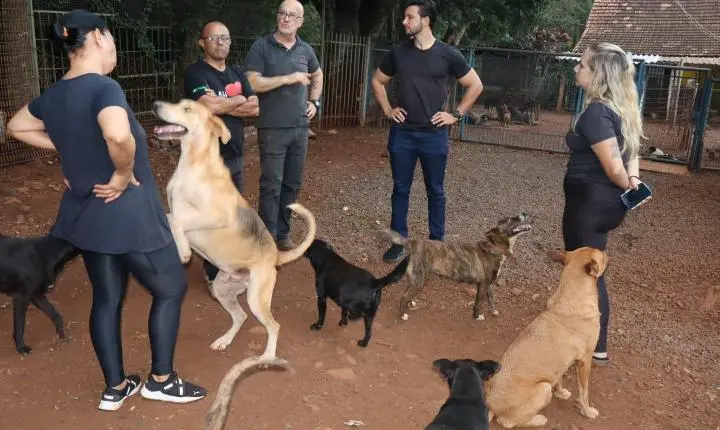 Prefeitura reforça apoio à proteção animal em visita à ONG Quatro Patas