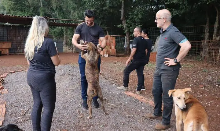 Prefeitura reforça apoio à proteção animal em visita à ONG Quatro Patas