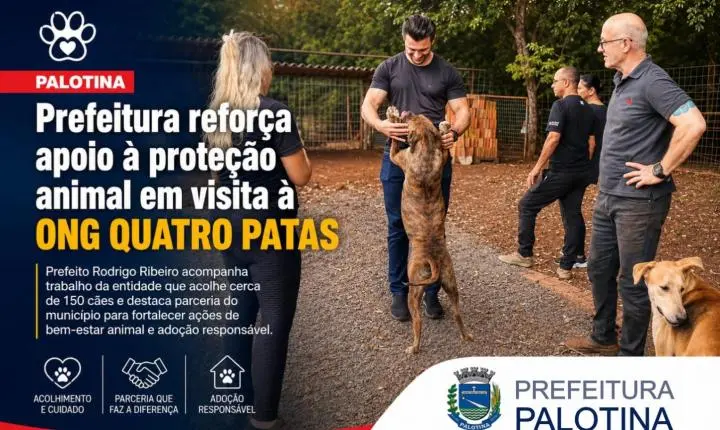 Prefeitura reforça apoio à proteção animal em visita à ONG Quatro Patas
