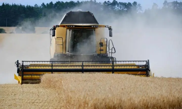 Sem terra para crescer, Paraná dobra valor da produção agropecuária em seis anos