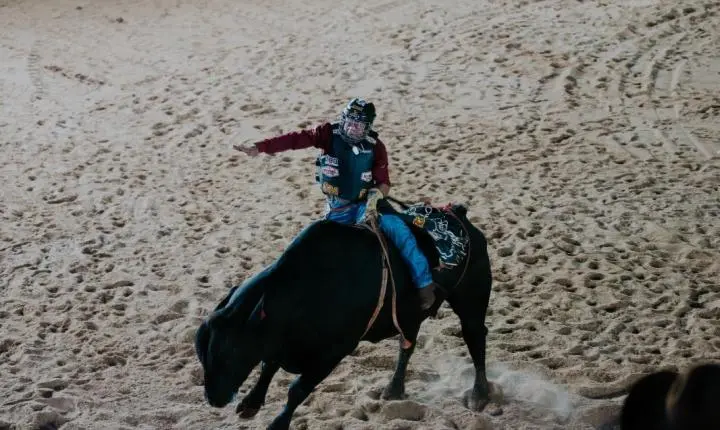 Show, rodeio e emoção marcam a primeira noite da Expo Palotina 2026