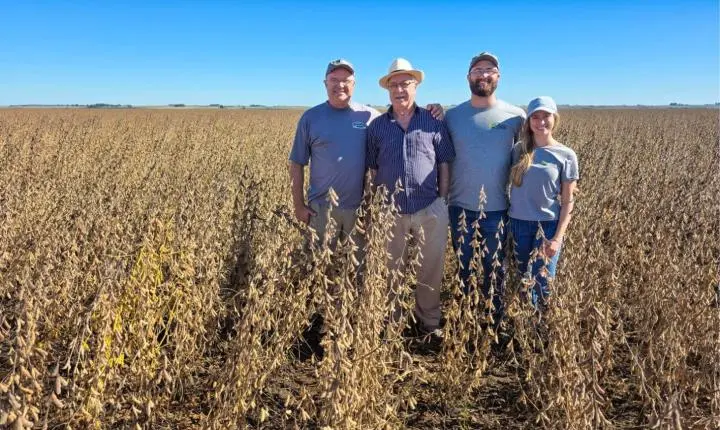 Solo fortalecido vira aliado contra a seca no campo gaúcho