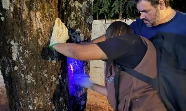 Terra Roxa realiza mobilização noturna para captura de escorpiões